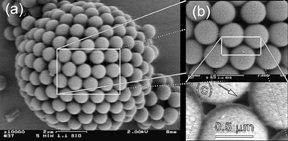 Colloidal Particles