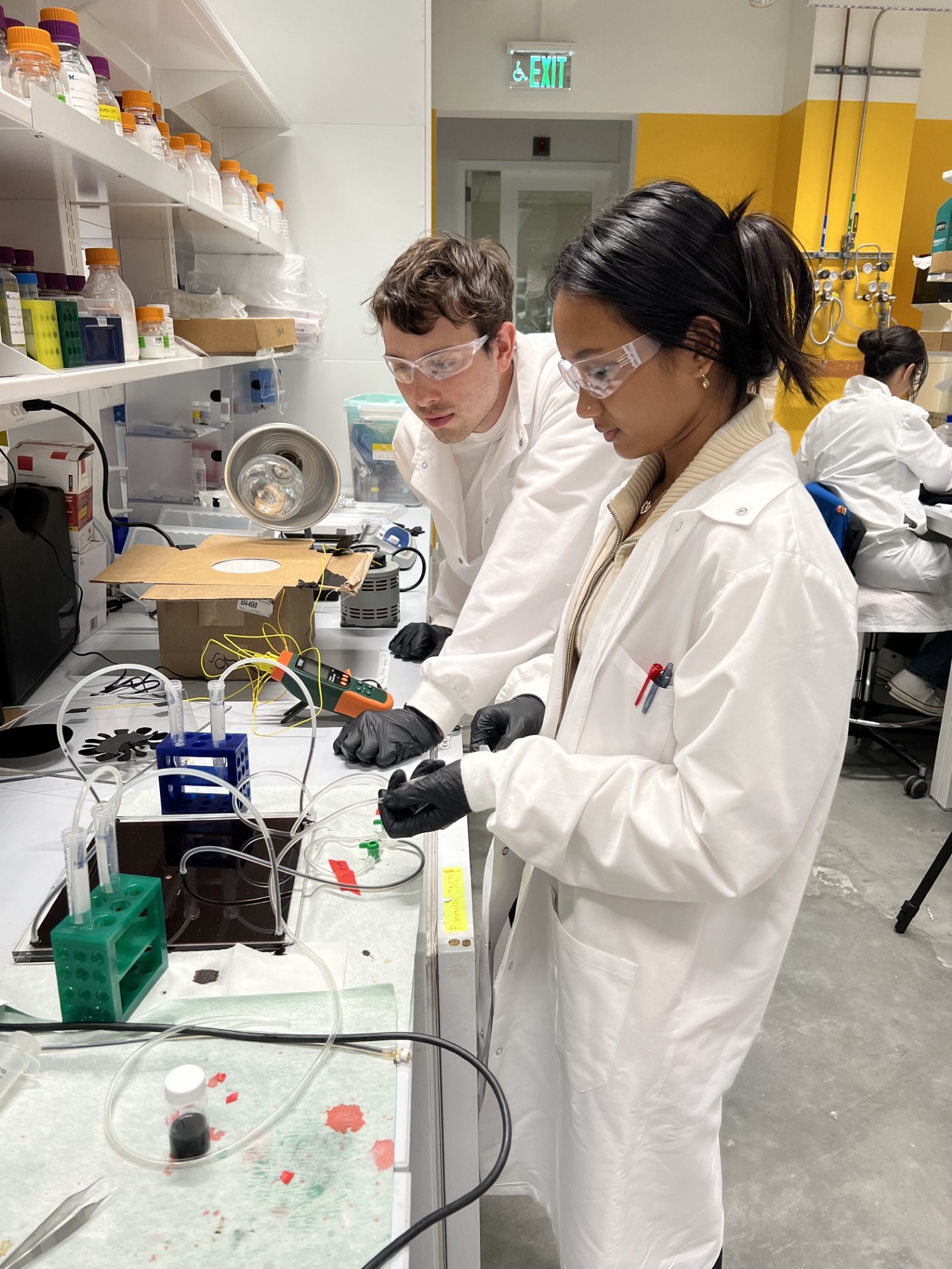 2026 Harvard MRSEC REU for Undergraduate Student Participants