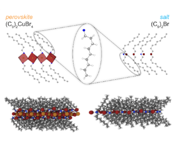 Understanding Entropy Changes in Layered Barocaloric Materials